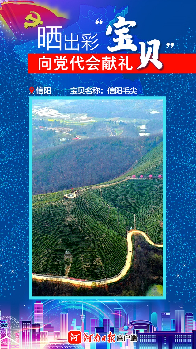 海報(bào) | 曬出彩“寶貝” 向黨代會(huì)獻(xiàn)禮 信陽(yáng)“寶貝”茶、油、稻