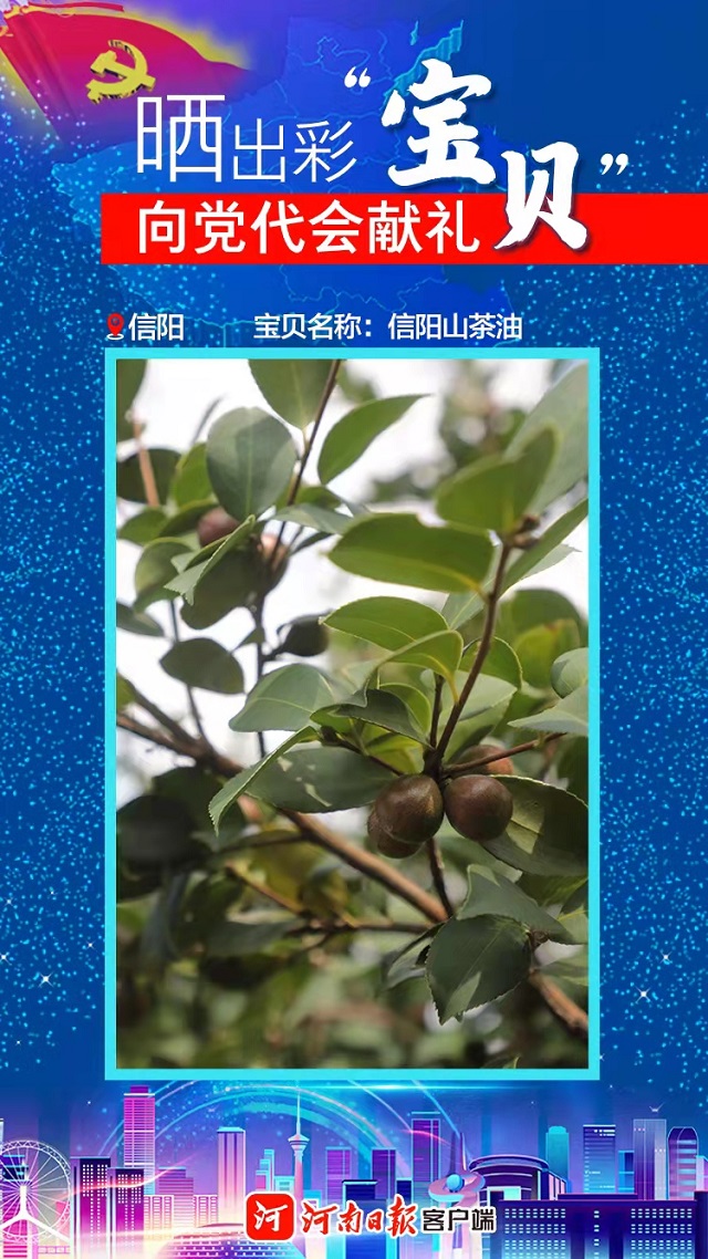 海報(bào) | 曬出彩“寶貝” 向黨代會(huì)獻(xiàn)禮 信陽(yáng)“寶貝”茶、油、稻
