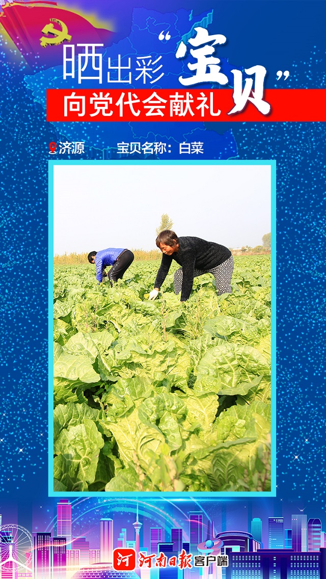 海報(bào)丨曬出彩“寶貝”向黨代會獻(xiàn)禮濟(jì)源“寶貝”數(shù)“三白”