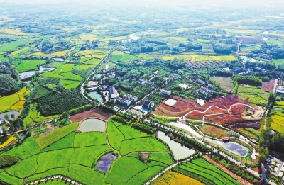 你好，小康丨光山縣東岳村：田園多彩 電商下鄉(xiāng)
