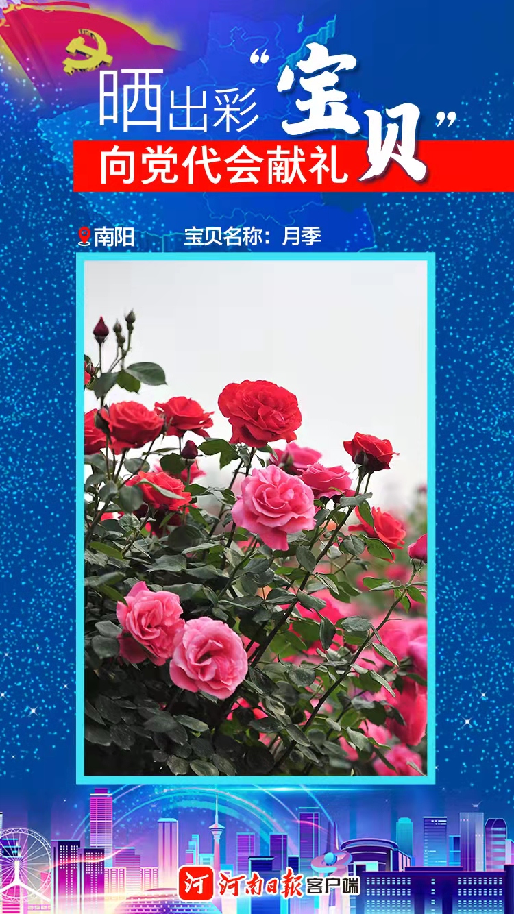 海報(bào)｜曬出彩“寶貝” 向黨代會(huì)獻(xiàn)禮 南陽(yáng)“寶貝”水和花