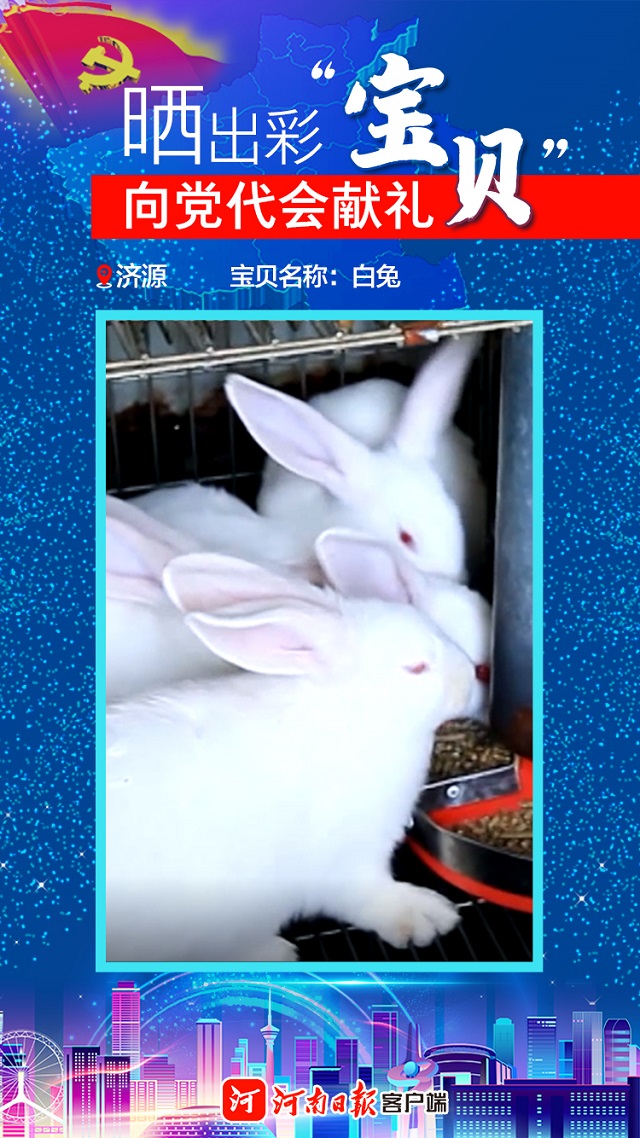 海報丨曬出彩“寶貝”向黨代會獻禮濟源“寶貝”數(shù)“三白”