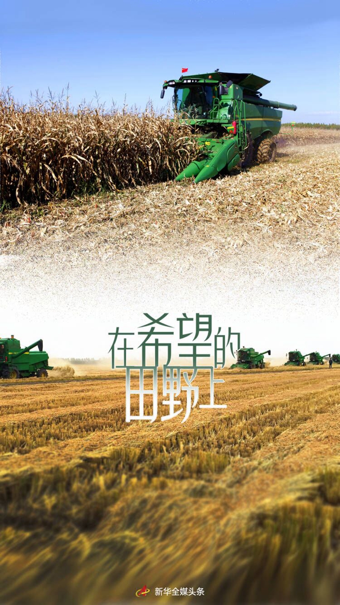 在希望的田野上—— “東北糧倉”讓“中國(guó)飯碗”端得更牢