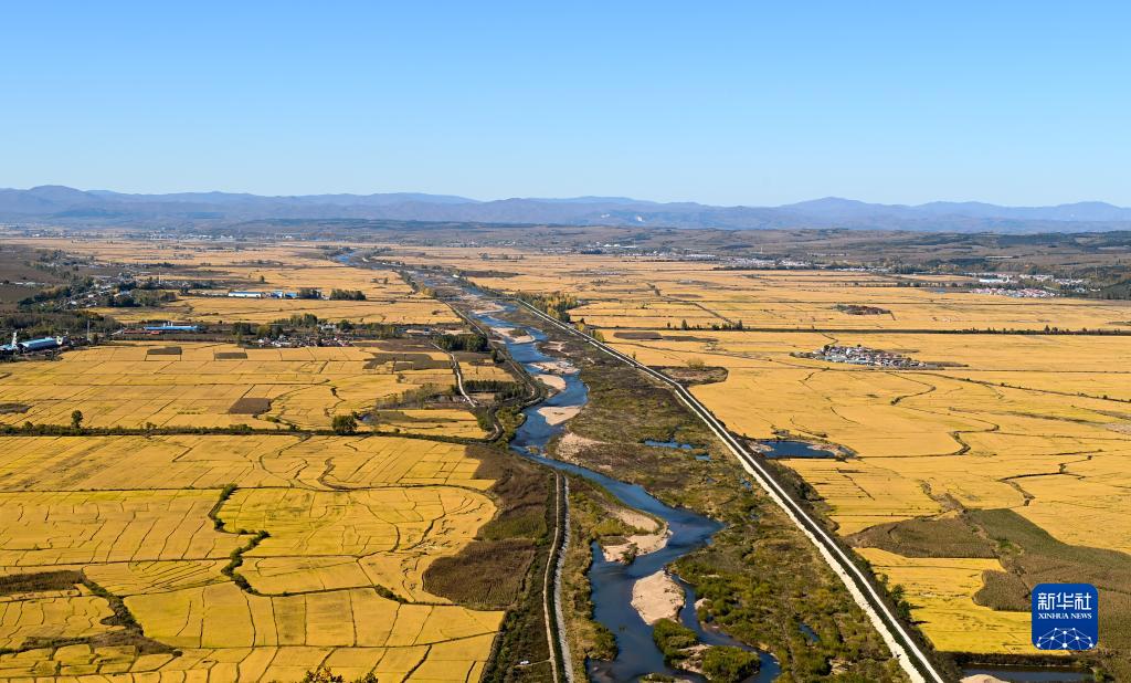 在希望的田野上—— “東北糧倉”讓“中國(guó)飯碗”端得更牢
