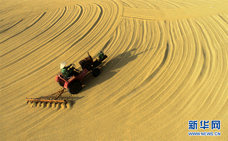 【&ldquo;飛閱&rdquo;中國(guó)】豐收的畫卷，真美！