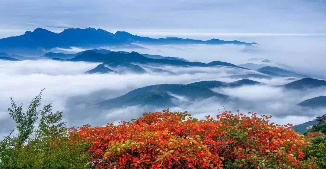 當(dāng)秋日暖陽遇上爛漫紅葉，嵩山美得像畫！