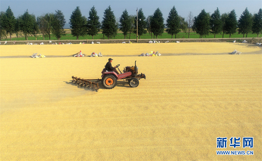 【&ldquo;飛閱&rdquo;中國(guó)】豐收的畫卷，真美！
