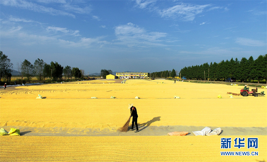 【&ldquo;飛閱&rdquo;中國(guó)】豐收的畫卷，真美！