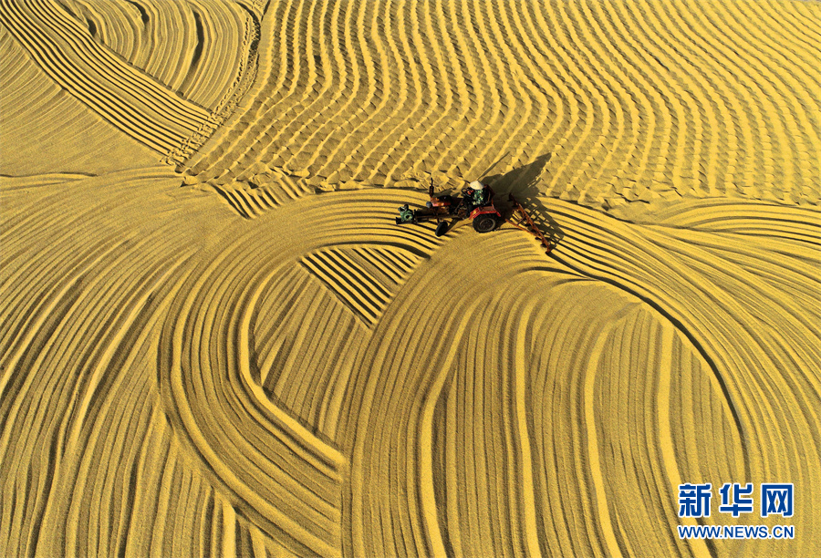 【&ldquo;飛閱&rdquo;中國(guó)】豐收的畫卷，真美！