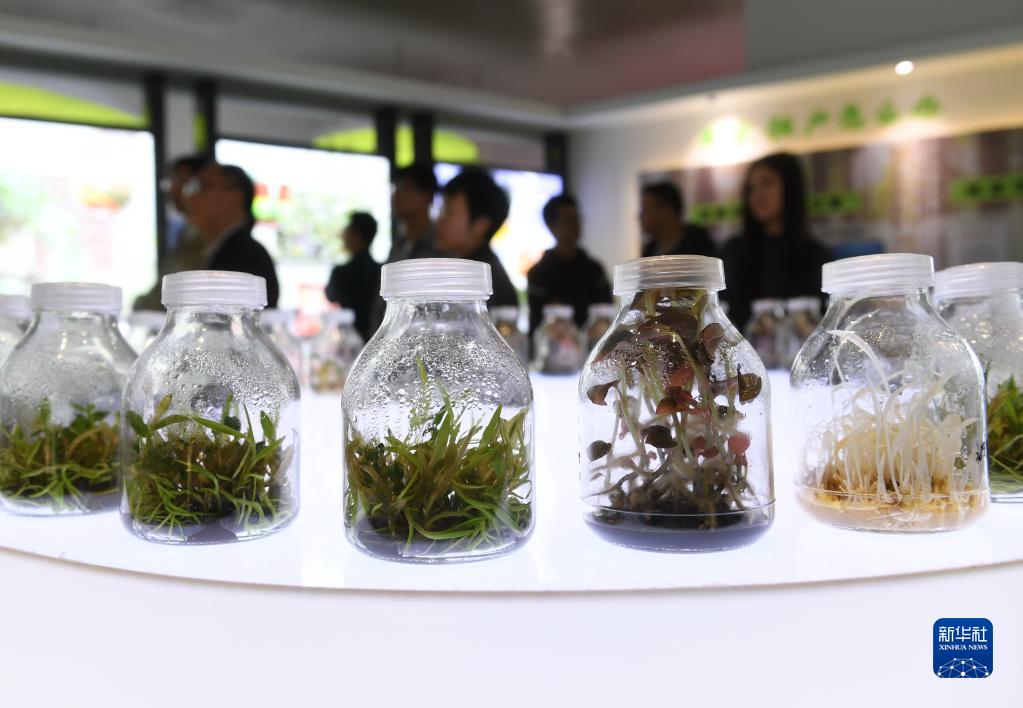 新思想引領(lǐng)新征程·時(shí)代答卷丨千帆競發(fā)勢如虹——習(xí)近平總書記謀劃推動(dòng)?xùn)|部率先發(fā)展譜寫新篇章