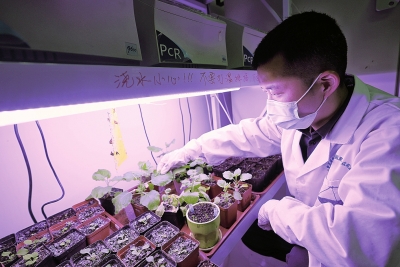 探秘省部共建小麥玉米作物學(xué)國家重點(diǎn)實(shí)驗(yàn)室