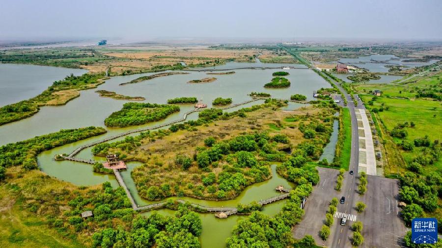 不可逆轉(zhuǎn)的歷史進(jìn)程&mdash;&mdash;從以習(xí)近平同志為核心的黨中央引領(lǐng)新時(shí)代變革性實(shí)踐看實(shí)現(xiàn)中華民族偉大復(fù)興