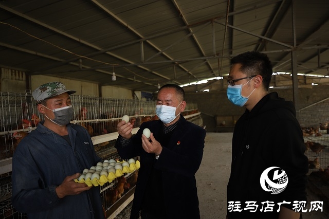 駐馬店驛城區(qū)：多產穩(wěn)增收 拓展致富路