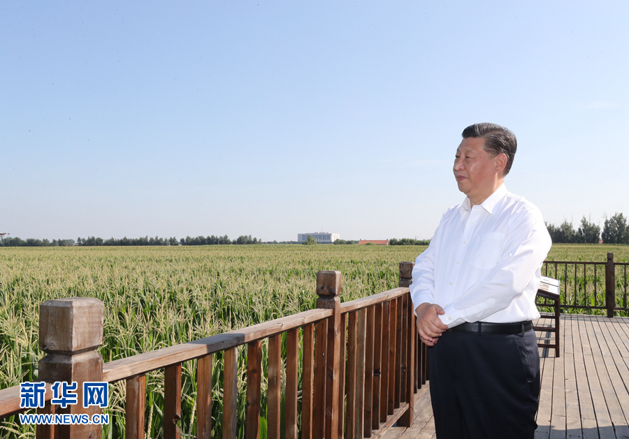學(xué)習(xí)進行時丨談到這個問題，習(xí)近平每句話都很重