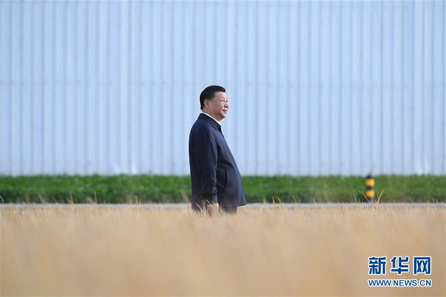 學(xué)習(xí)進行時丨談到這個問題，習(xí)近平每句話都很重