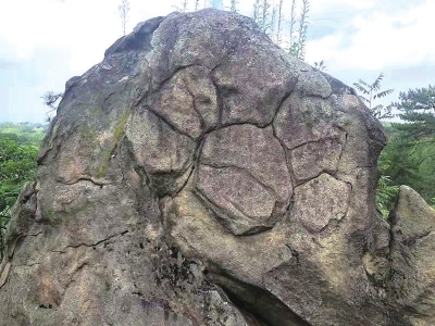 南陽發(fā)現(xiàn)遠古文明大量遺址遺跡的歷史定位及其時代價值探析