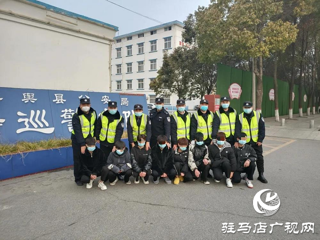 平輿特巡警打掉一盜竊團伙 抓獲8人