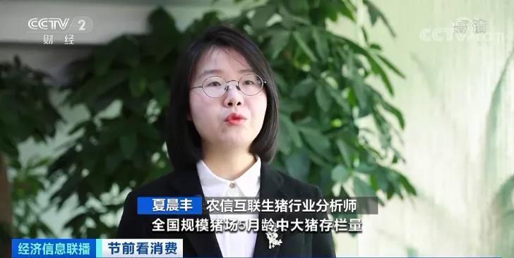 春節(jié)倒計時豬肉價格連降5周！旺季不旺咋回事？