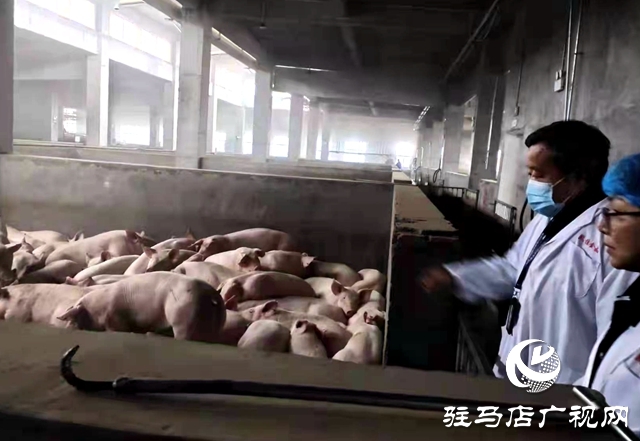 確山縣農(nóng)業(yè)綜合行政執(zhí)法大隊嚴把生鮮市場檢疫關