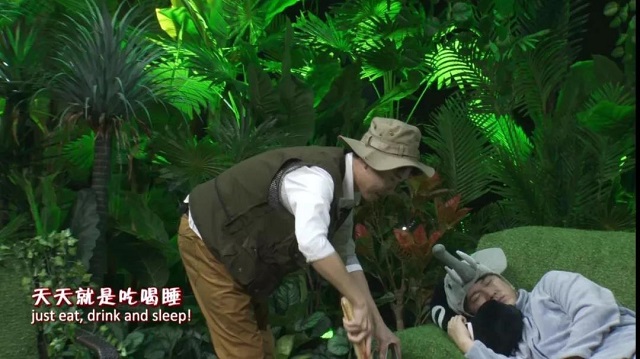 虎虎生風中國潮！河南春晚是如何把年味發(fā)揮到極致的？