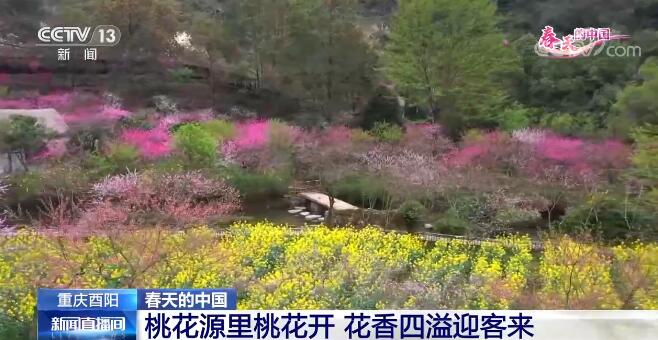 春天的中國 | 以花興旅 “花海經濟”推動鄉(xiāng)村振興