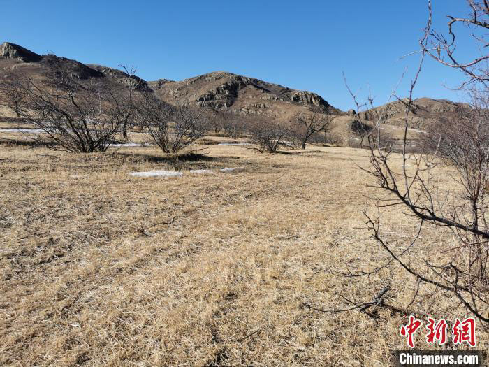 內蒙古赤峰發(fā)現(xiàn)罕見遼代梯田遺址