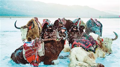 《花兒為什么這樣紅》續(xù)寫(xiě)民族團(tuán)結(jié)頌歌