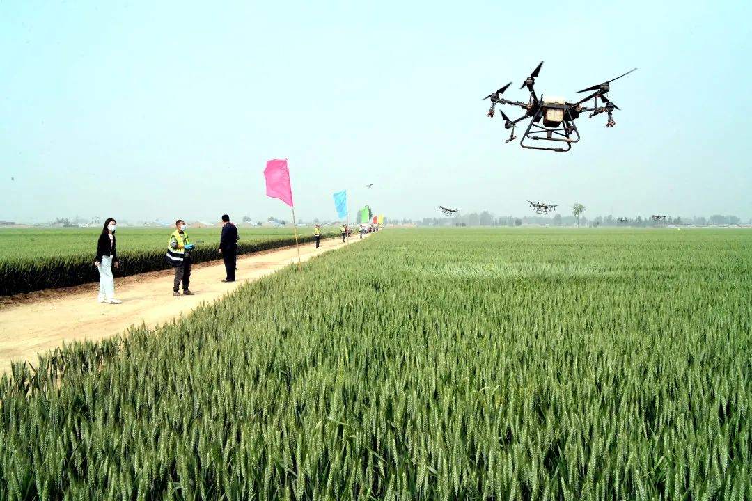 夏天要來了，立夏時節(jié)的專屬農(nóng)事、美食知多少？