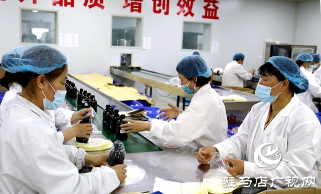 確山石滾河鎮(zhèn):小藥草鋪就鄉(xiāng)村振興“富民路”