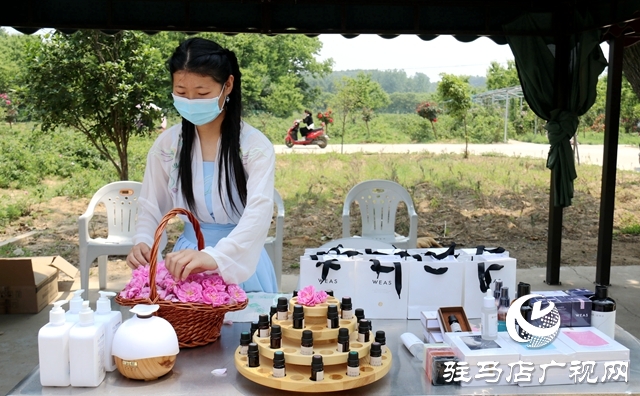 確山石滾河鎮(zhèn):小藥草鋪就鄉(xiāng)村振興“富民路”