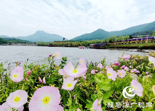 駐馬店老樂山風景區(qū)：五月游花海 美景惹人醉