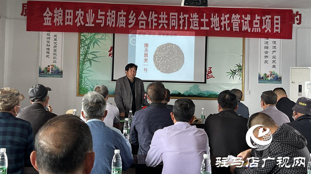 噸源種業(yè)黑色小麥觀摩會(huì)成功召開(kāi)