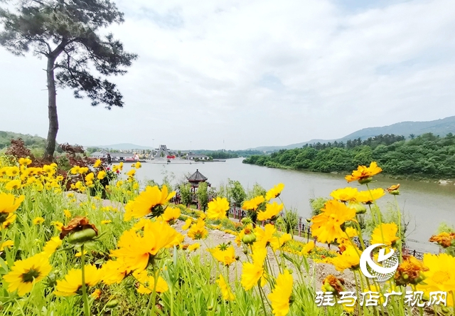 駐馬店老樂山風景區(qū)：五月游花海 美景惹人醉