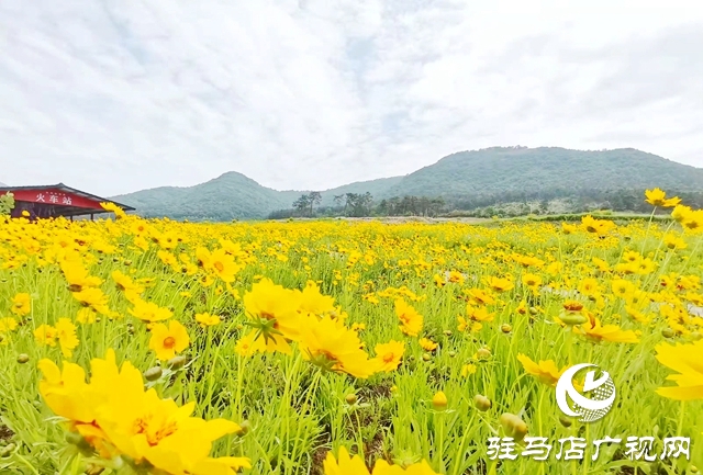 駐馬店老樂山風景區(qū)：五月游花海 美景惹人醉