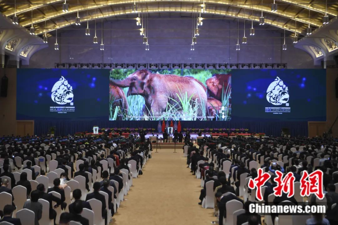 東西問丨李振基：保護(hù)生物多樣性，中國虞衡制度告訴了我們什么？