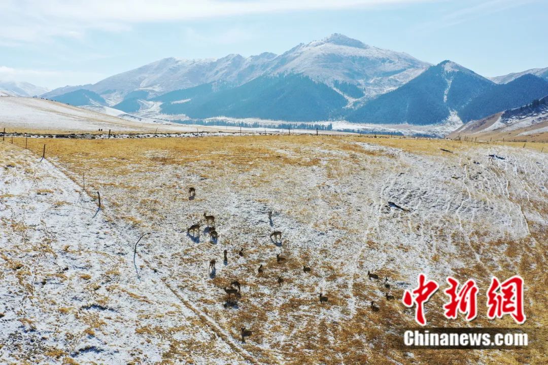東西問丨李振基：保護(hù)生物多樣性，中國虞衡制度告訴了我們什么？