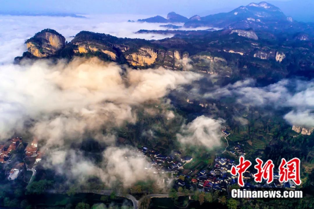 東西問丨李振基：保護(hù)生物多樣性，中國虞衡制度告訴了我們什么？