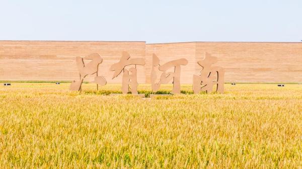 免費(fèi)游玩、國(guó)風(fēng)游園、文化大餐……端午節(jié)河南文旅消費(fèi)強(qiáng)勁復(fù)蘇，各大景區(qū)鉚足了干勁兒