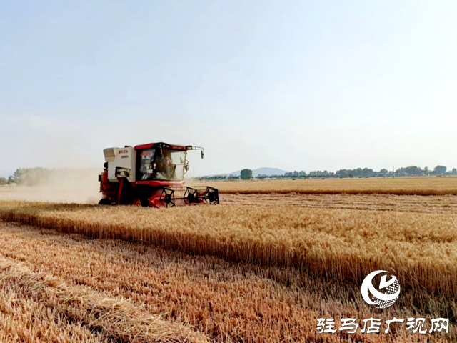 疫情防控不松勁 農(nóng)業(yè)生產(chǎn)不誤時(shí)