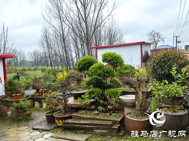 上蔡縣大路李鄉(xiāng)：強“本手”、創(chuàng)“妙手”、減“俗手”助力人居環(huán)境大嬗變