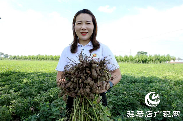 河南正陽：鄉(xiāng)村振興戰(zhàn)場(chǎng)上的“勞模父女兵”