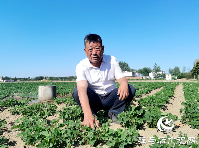 河南正陽：鄉(xiāng)村振興戰(zhàn)場(chǎng)上的“勞模父女兵”