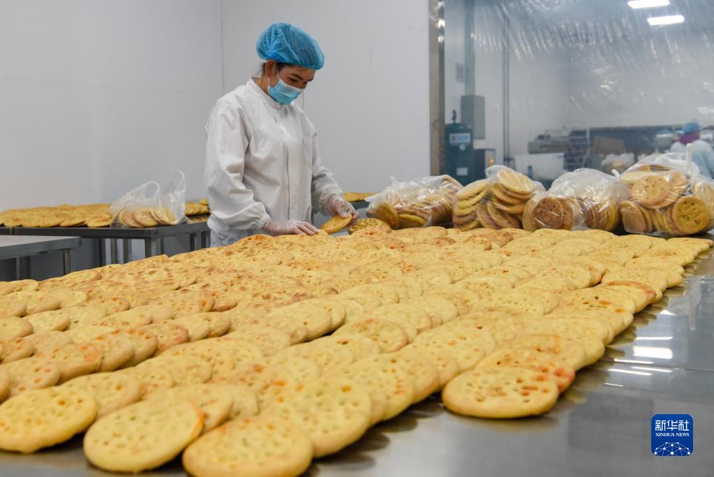 情滿(mǎn)天山處處春——沿著總書(shū)記的足跡之新疆篇