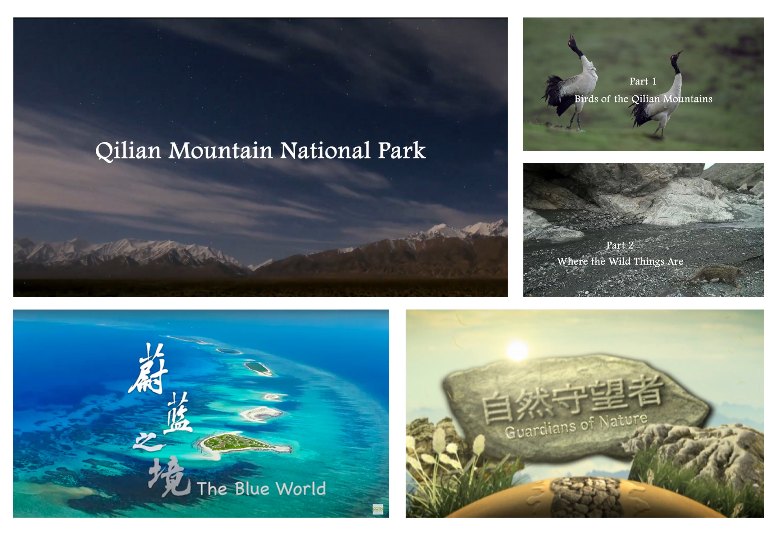 異彩紛呈！總臺(tái)CGTN紀(jì)錄頻道整頻道落地香港播出 7月1日片單發(fā)布