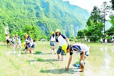 研學旅行走俏：在行走的課堂中，如何讀懂更大的世界