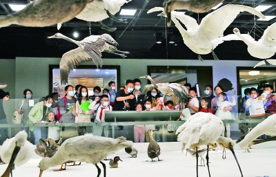 從延長開放時間到全天開放——24小時博物館，城市夜生活新地標