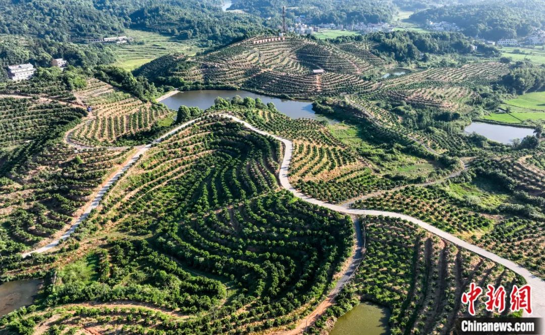 陳來(lái)：中國(guó)文化為何能為生態(tài)文明提供理念基礎(chǔ)？