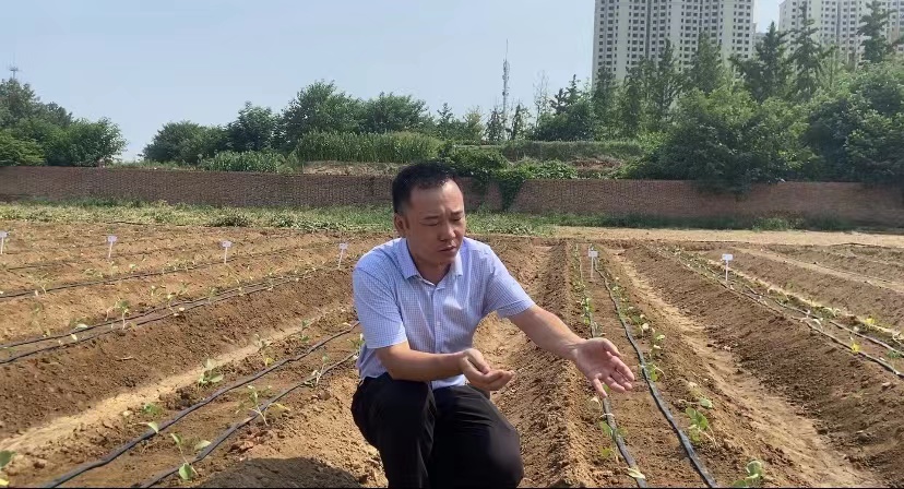 處暑話農(nóng)耕：處暑至 秋意涼 準備好和夏天說再見了嗎？