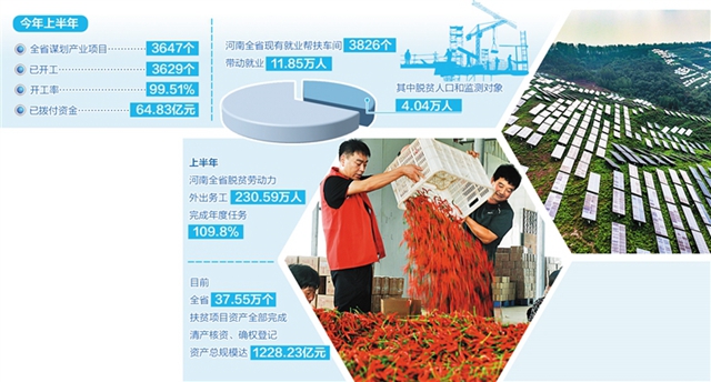 河南聚焦守底線抓發(fā)展促振興—— 做好穩(wěn)增收防返貧必答題