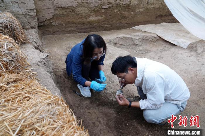 探訪仰韶晚期南佐遺址：考古發(fā)掘研究還有多少待解之謎？